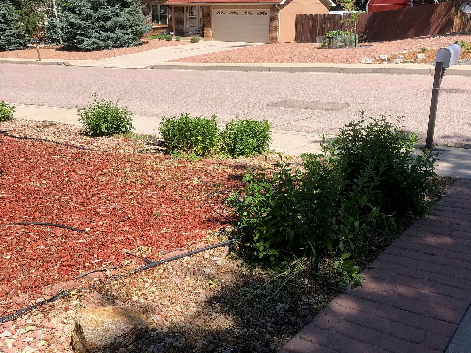 Chapel Hills Dr, Colorado Springs — Photo 2