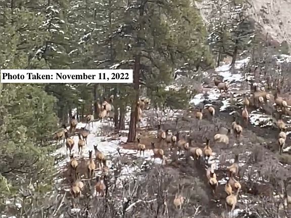 4th image of 25203 W Us Highway 160