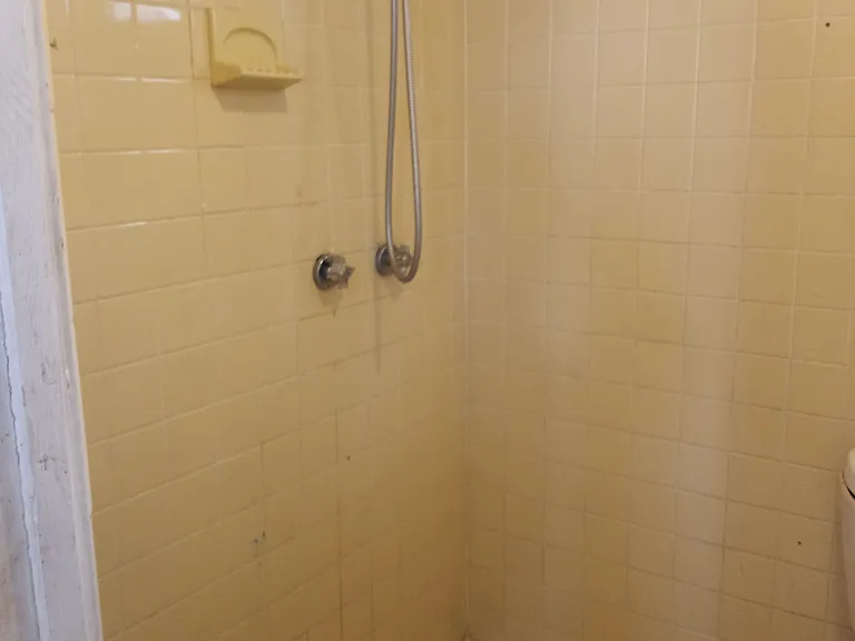 In-Law Suite/Garage Apartment Bathroom