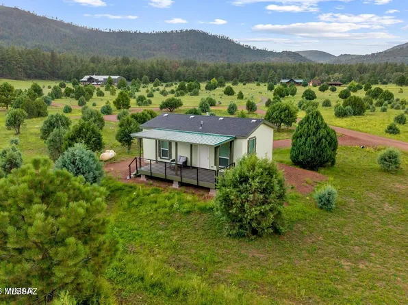 2 N2166 St #2166, Nutrioso, AZ 85932