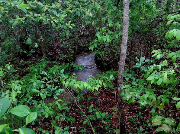 0 Rains Crk, Gruetli Laager, TN 37339