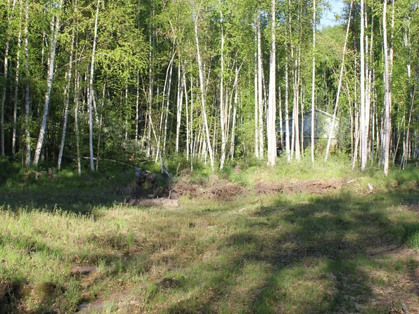 Nhn Terrace Dr Lot 118, Fairbanks, AK 99712