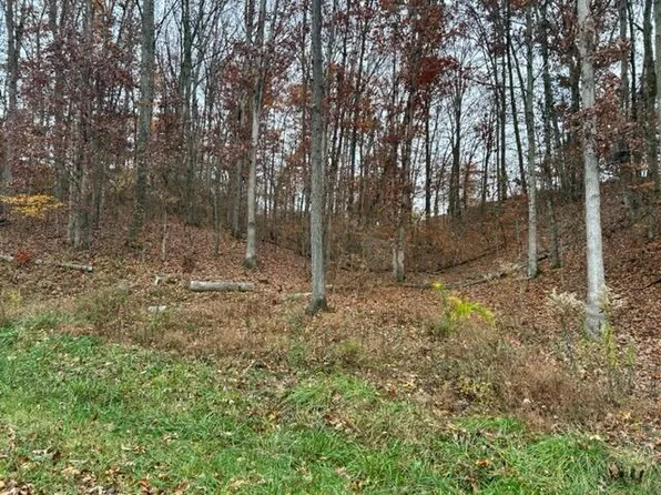 Bethel Ln, Kingsport, TN 37660