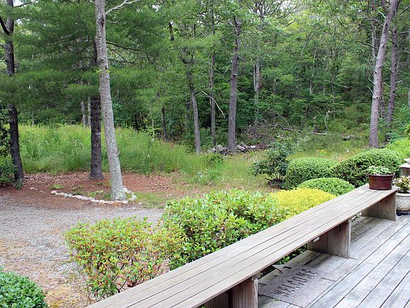 Wooded View From Deck