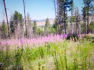 111 TBD J H Green RD, Tonasket, WA 98855