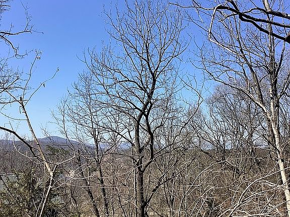 Near UNCA and Downtown 