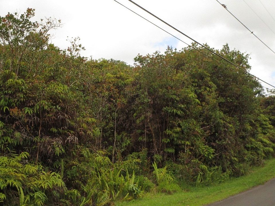 2nd image of Lehua St Lot 6865
