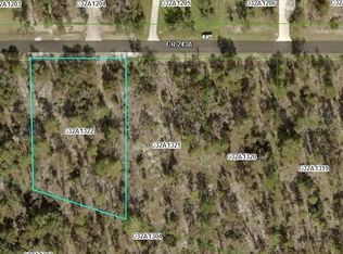 0 County Road 243 119 LOT A-22, Wildwood, FL 34785