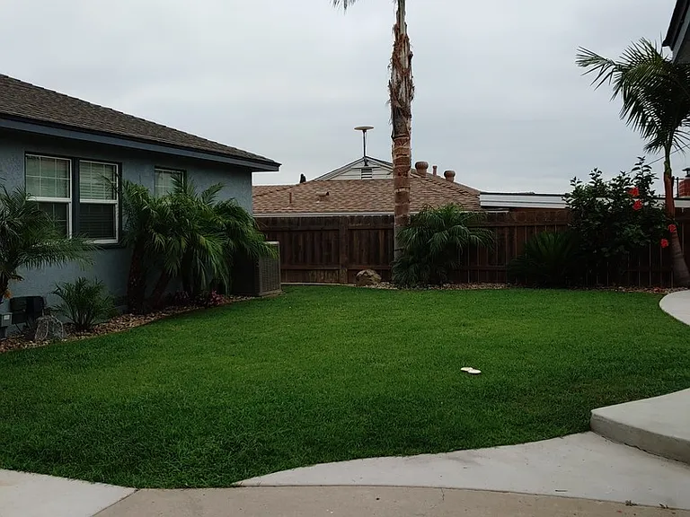 6682 Birchwood St — Photo 30