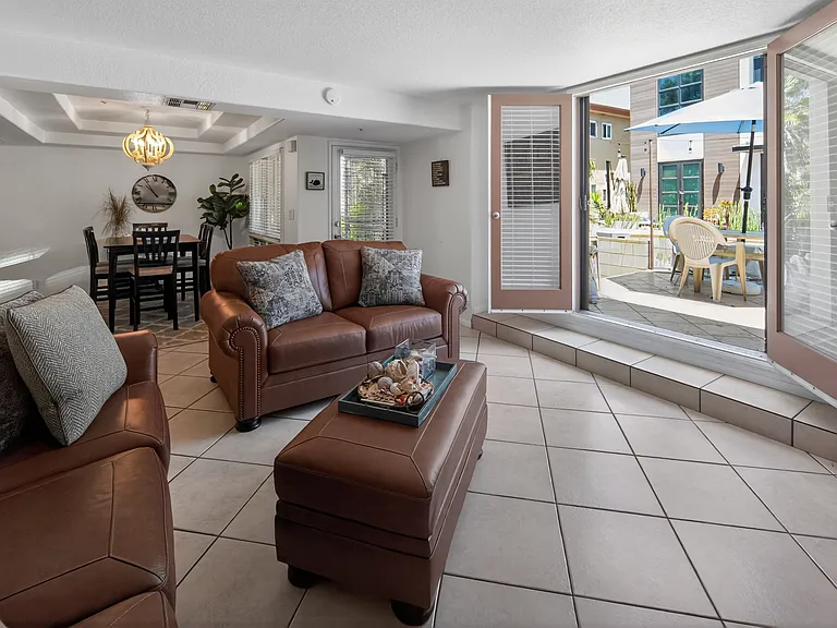 Living Area / Patio Access