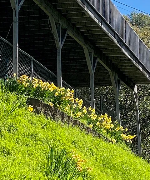Glory Rd — Photo 3