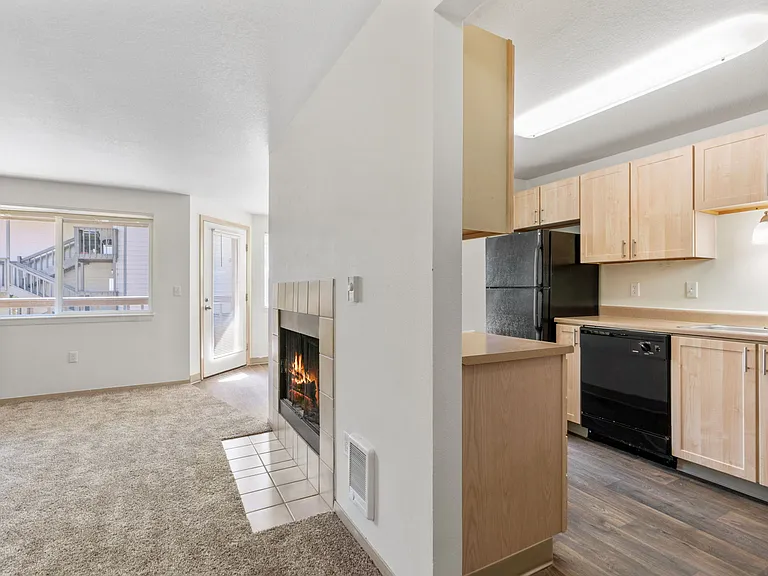 Living room/kitchen