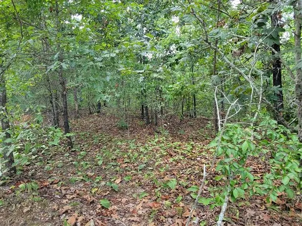 1 Chinkapin Rd, Holladay, TN 38341