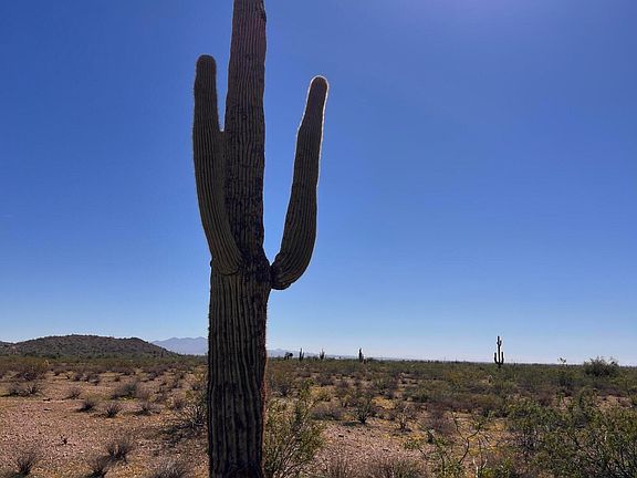 4th image of 31 W Carlise Rd #105