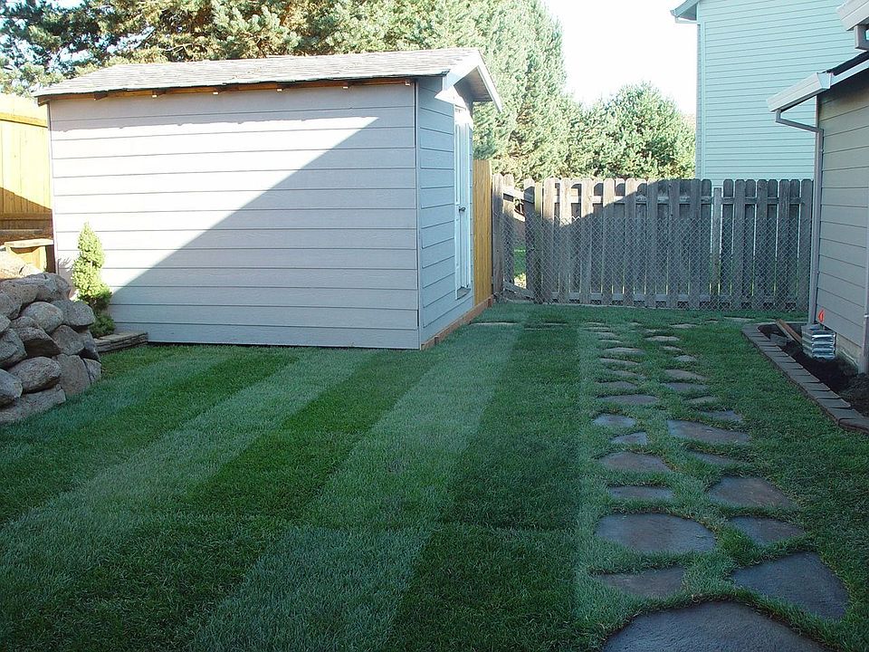 Back Yard 2006