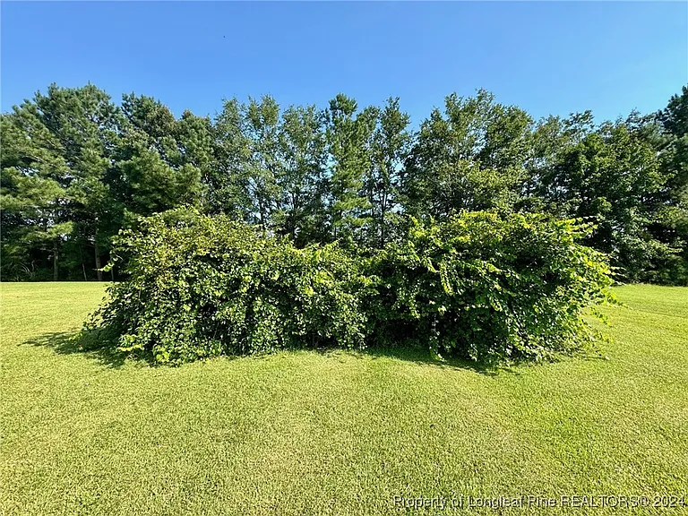 243 Trace Ln — Photo 45