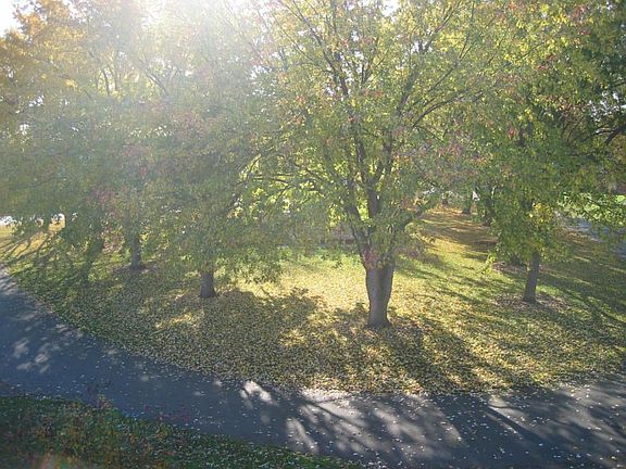 View from front porch.