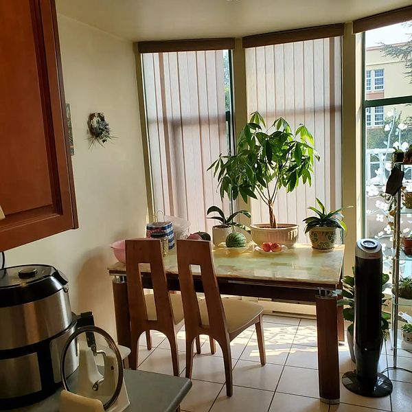 Vancouver Apartment for rent - 3 Bedrooms in Vancouver