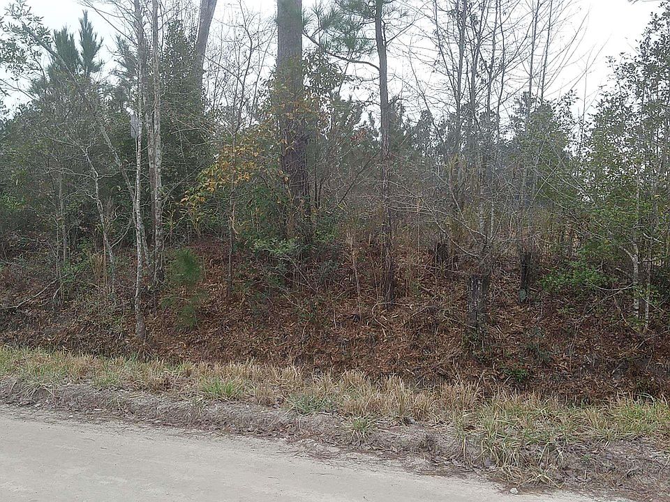 2nd image of TBD Old Forest Dr. Lot 1
