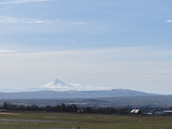 View - Mt. Hood