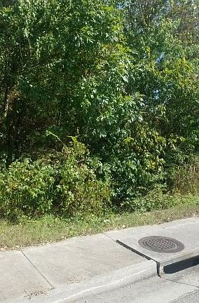 5th image of Parker Ave