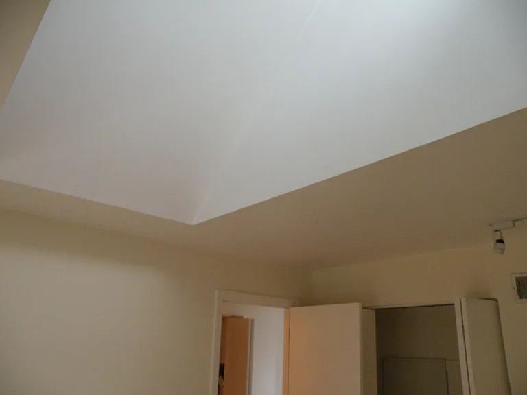 704 Bellefonte St #3 — Photo 31