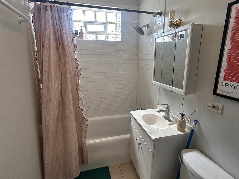 2046 N Albany Ave #2W — Photo 8
