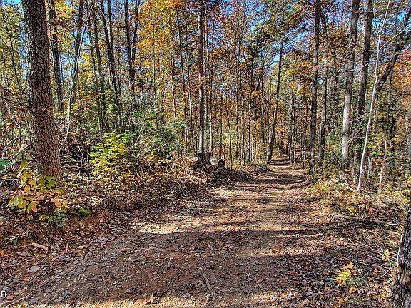 41st image of this home