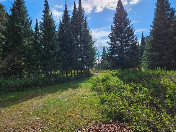 LOT 3 County Road 238, Deer River, MN 56636