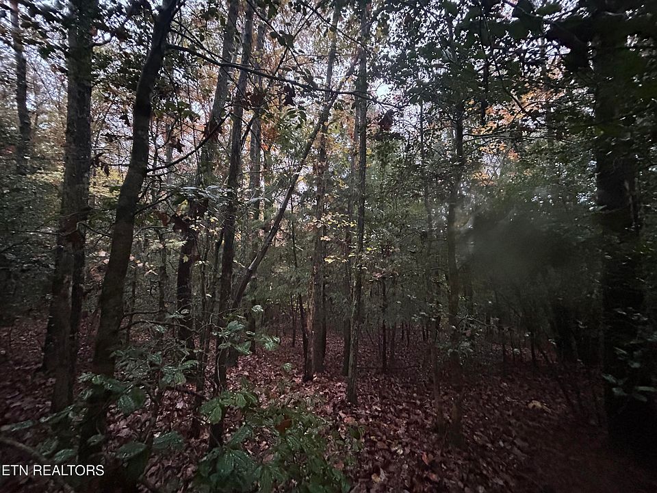 2nd image of Wilder Rd