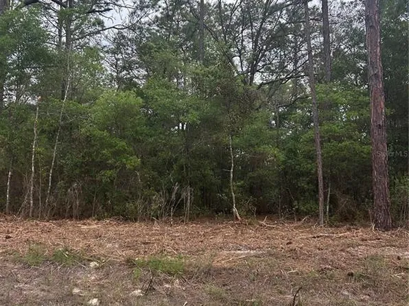 10831 N Mataro Ave Lot 5, Dunnellon, FL 34434