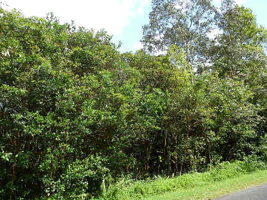 2nd image of Ocean View Pkwy Lot 881