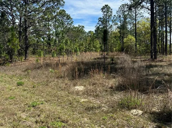 2032 W Corrine St, Citrus Springs, FL 34434