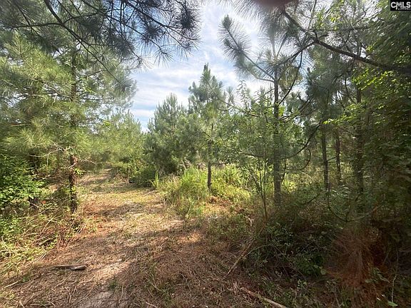 4th image of Mpf 5 Mount Pisgah Road 5 #Mpf
