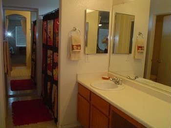 5th image of 40521 N Brumana St