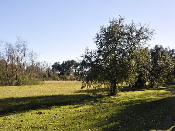 3rd image of 10990 Cloverleaf Dr