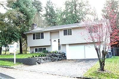 new windows and doors