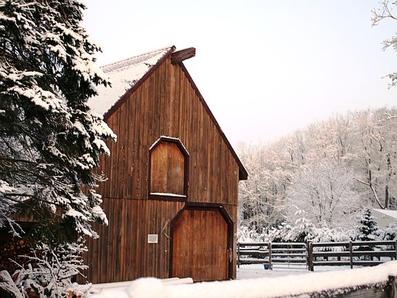 Large 3 Stall Barn
