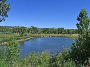 40225 Road J, Mancos, CO 81328