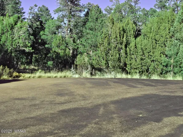 1526 Foxtail Ln, Heber, AZ 85928