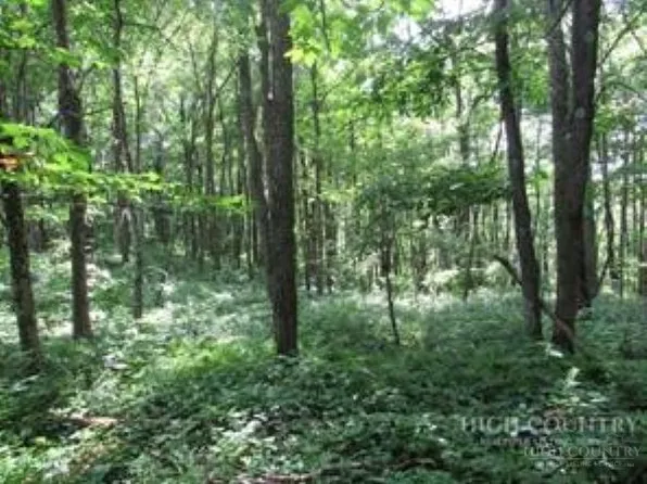 TBD LOT 23 Country Ridge Road, Jefferson, NC 28640
