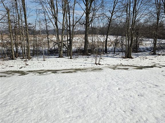 5th image of 15229 Timber Ridge Dr