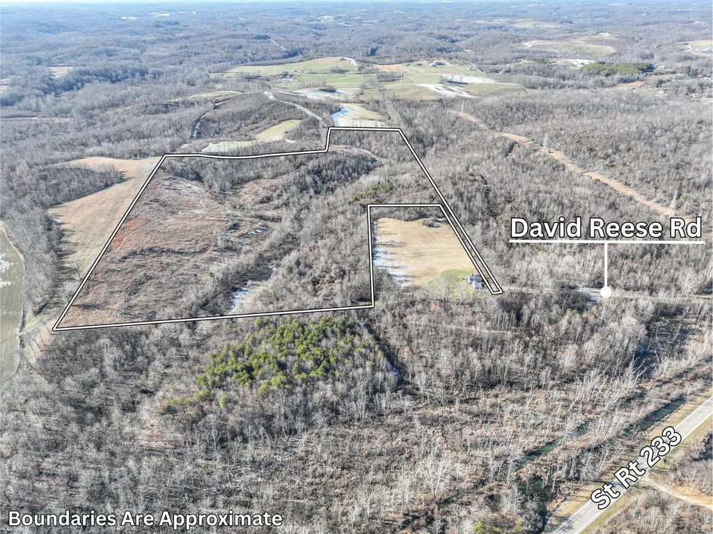 Real estate listing image