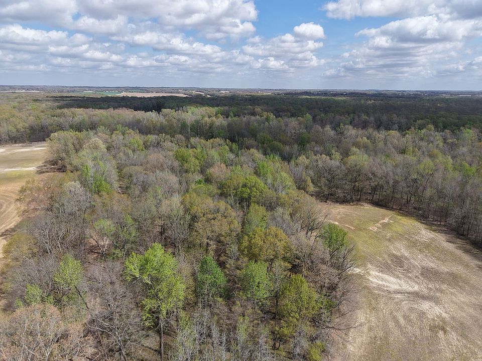 Dji Fly 20260331 111204 0198 1775063492633 Photo