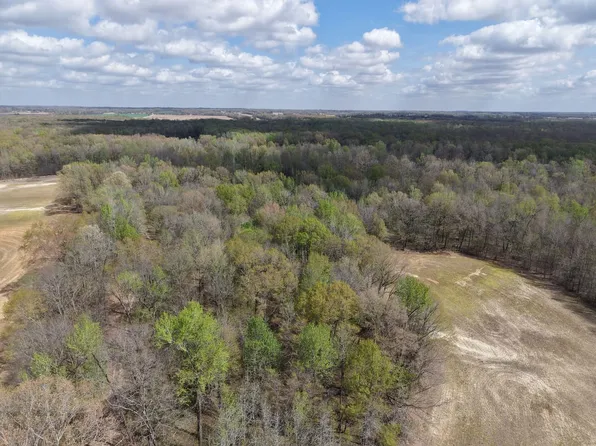 Estanula Rd, Brownsville, TN 38012