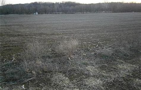 2nd image of 2005 NE 144th St