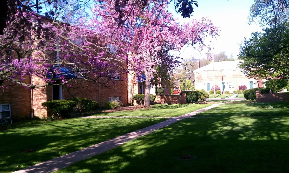1826 N Star Ave — Photo 2