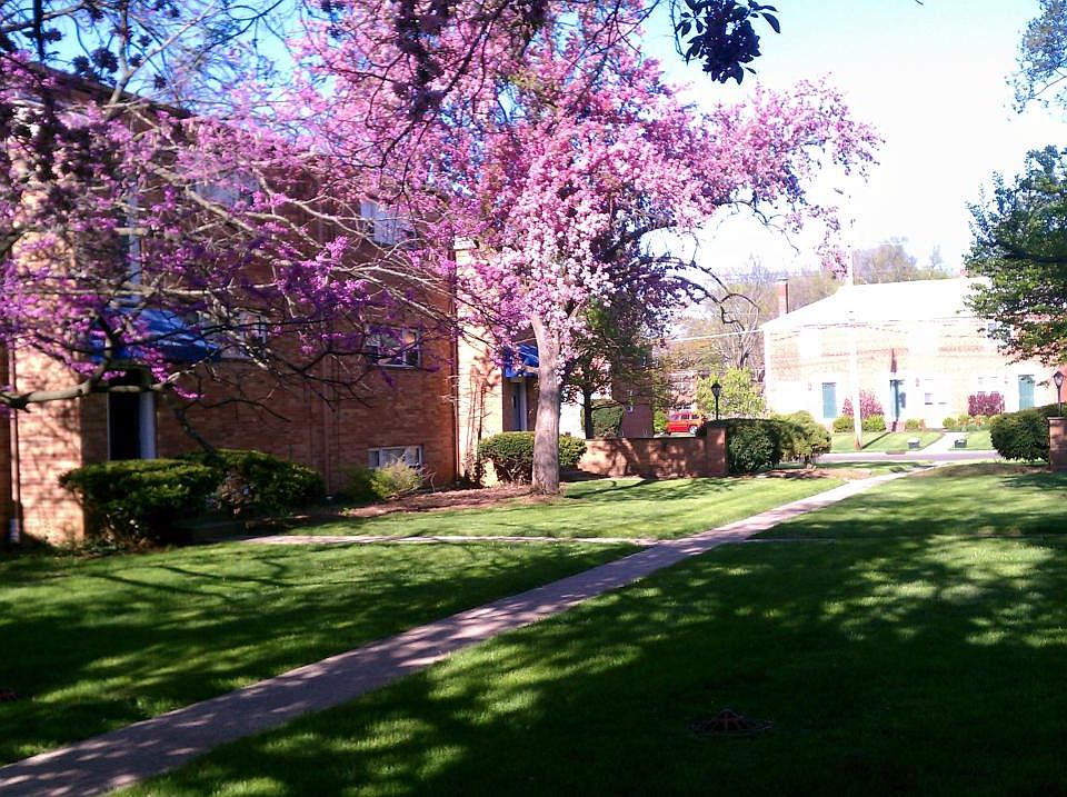 Grounds