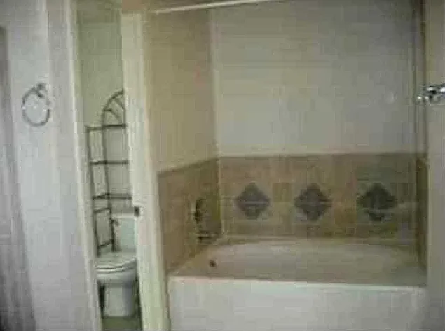 3016 Tierra Cuervo Dr — Photo 8