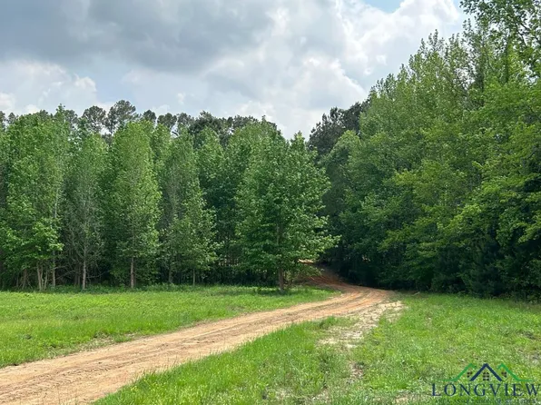 County Road 4683, Atlanta, TX 75551